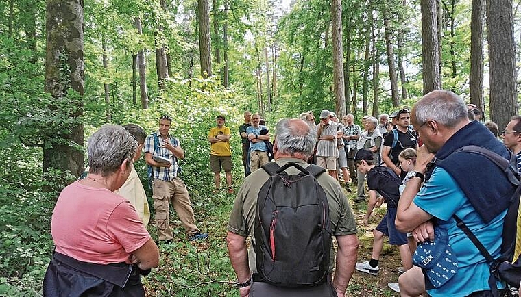 Lehrreicher Banntag: Raphael Häner, Geschäftsführer des Vereins Wald beider Basel (Dritter von links) wusste viel Spannendes über den Laufner Wald zu berichten. Foto: Melanie Brêchet