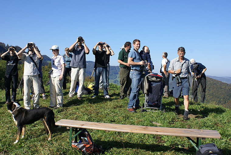Wo ist der Mäusebussard?: Gespannt verfolgen die Naturfreunde den Vogelzug auf dem Gupf.