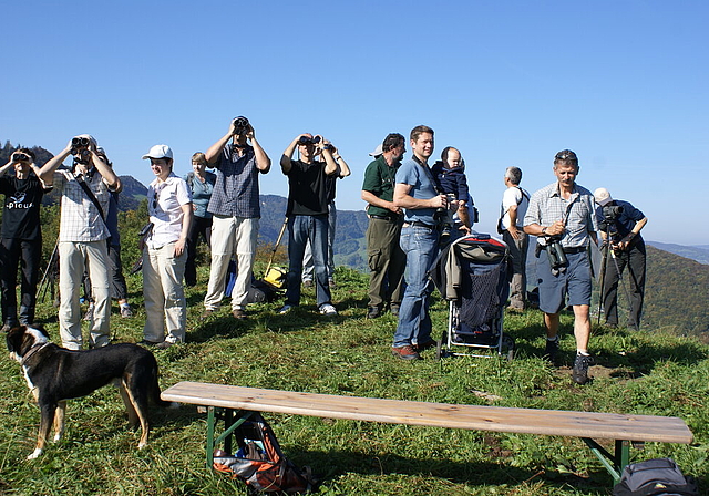 Wo ist der Mäusebussard?:  Gespannt verfolgen die Naturfreunde den Vogelzug auf dem Gupf.   