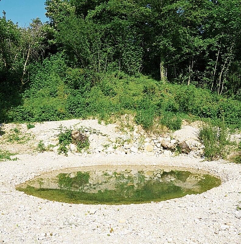 Noch kahl: Die Pfanzen um den Weiher werden in den kommenden Wochen noch wachsen (Bild links). 
Der Natur- und Vogelschutzverein hat ein Schwalbenhotel aufgestellt (Bild rechts). Fotos: Tobias Gfeller