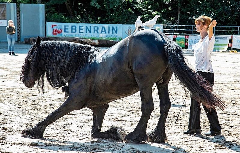 Kniebeuge mit Friedenstauben: Eindrückliche Vorführungen prägten den Sonntag.
