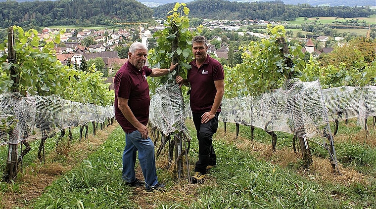 <em>Mit Jubiläums-T-Shirt im Rebberg: </em>Säckelmeister Franz Scherrer (l.) und Rebbergmeister Patrick Thierwächter Foto: Jürg jeanloz