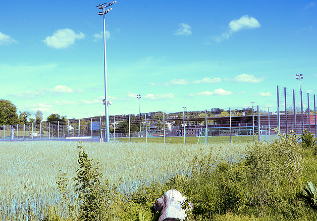 Mehr Fussball: Hier am südlichen Rand der Sportzone Fiechten soll voraussichtlich bis Sommer 2021 ein neues Kunstrasenfeld mit Beleuchtung und Sitzgelegenheiten gebaut werden. Foto: Martin Staub