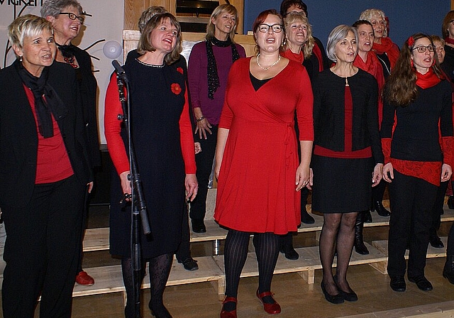 Mit viel Herzblut: Singgruppe Vocabella. Foto: Jürg jeanloz