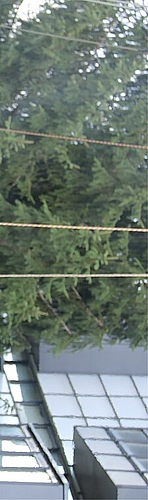 <em>Unterhaltung: </em>Harassen erklimmen, plaudern und essen.<em/>
