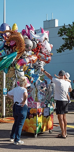 Bunte Tiere: Wer kann da widerstehen? Bunte Tiere: Wer kann da widerstehen?