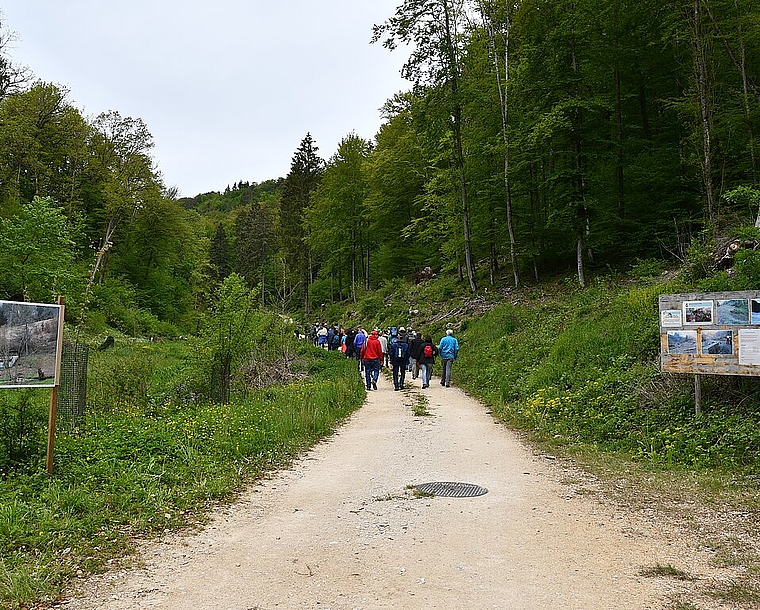 <em>Halbzeit-Bilanz: </em>Auf dem Spaziergang konnte die Bevölkerung die Naturelemente, die am Entstehen sind, begutachten.Foto: Bea asper