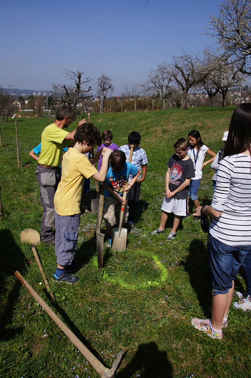 Spaten statt Bleistift: Dornacher Schüler werken auf dem Bauernhof. Foto: ZVG