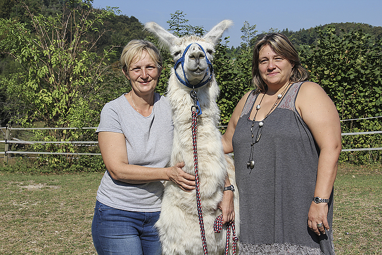 Haben ein grosses Wochenende vor sich: Daniela Tschaggelar mit Lama und Organisatorin Isabelle Wipf. Foto: Tobias Gfeller