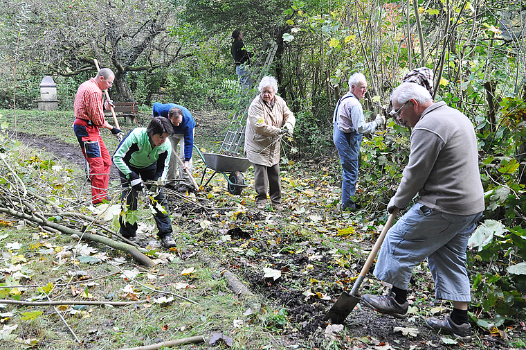 Standen bereits im Einsatz: Mitglieder des Natur- und Vogelschutzes Reinach arbeiteten am vergangenen Samstagmorgen auf der von der Gemeinde gepachteten Parzelle Chlei Bruederholz. Foto: Isabelle Hitz