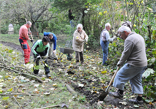 Standen bereits im Einsatz: Mitglieder des Natur- und Vogelschutzes Reinach arbeiteten am vergangenen Samstagmorgen auf der von der Gemeinde gepachteten Parzelle Chlei Bruederholz. Foto: Isabelle Hitz