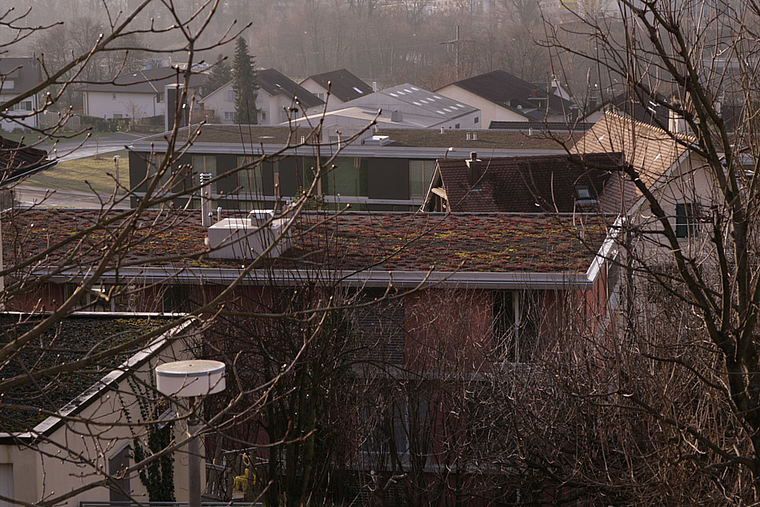 Neue Bauvorschrift: Bei Neu- und Anbauten müssen ungenutzte Flachdächer ab einer Fläche von 20 Quadratmetern begrünt werden. Foto: Lukas Hausendorf