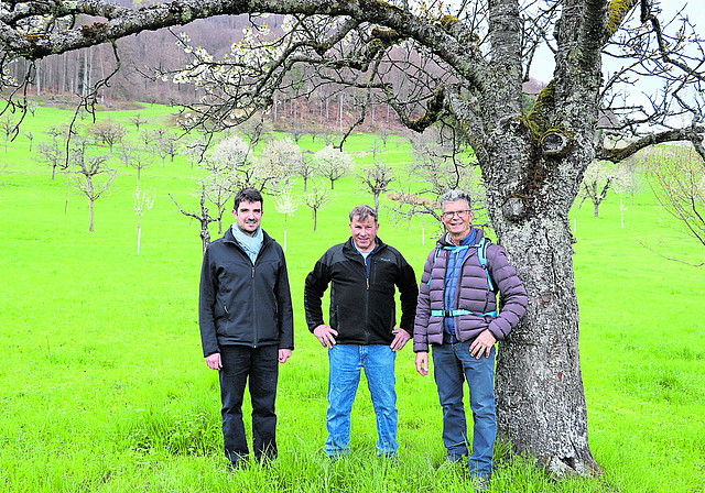 Hochstamm-Landschaft: (vl.) Daniele Grambone, Martin Heller und René Meier in Nuglar-St. Pantaleon. Foto: Carlo Lang