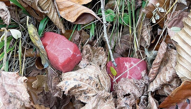 Wie «Rindsragout»: Arlesheimer sammelten in der Ermitage zwölf Fleischwürfel ein. Foto: zVg