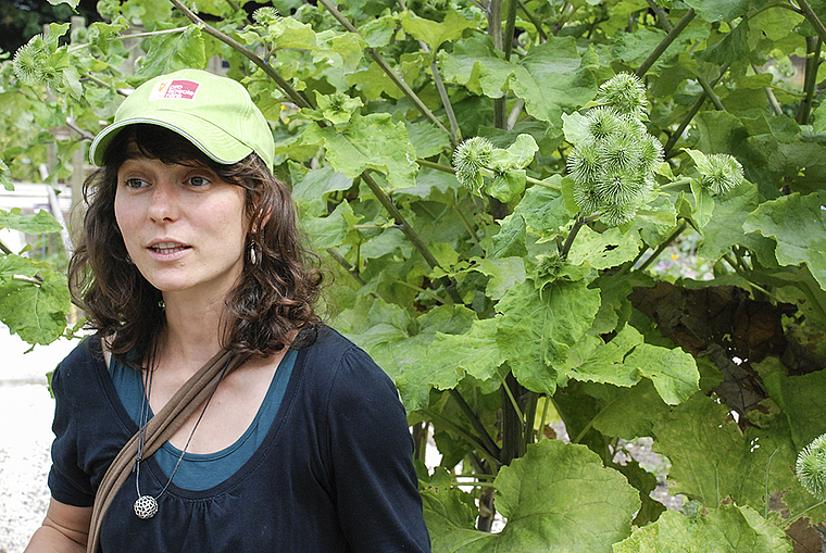 Einsatz für genetische Vielfalt: Corina Meier erklärt die Gewinnung von Saatgut anhand der Essbaren Klette.  Foto: Thomas Brunnschweiler