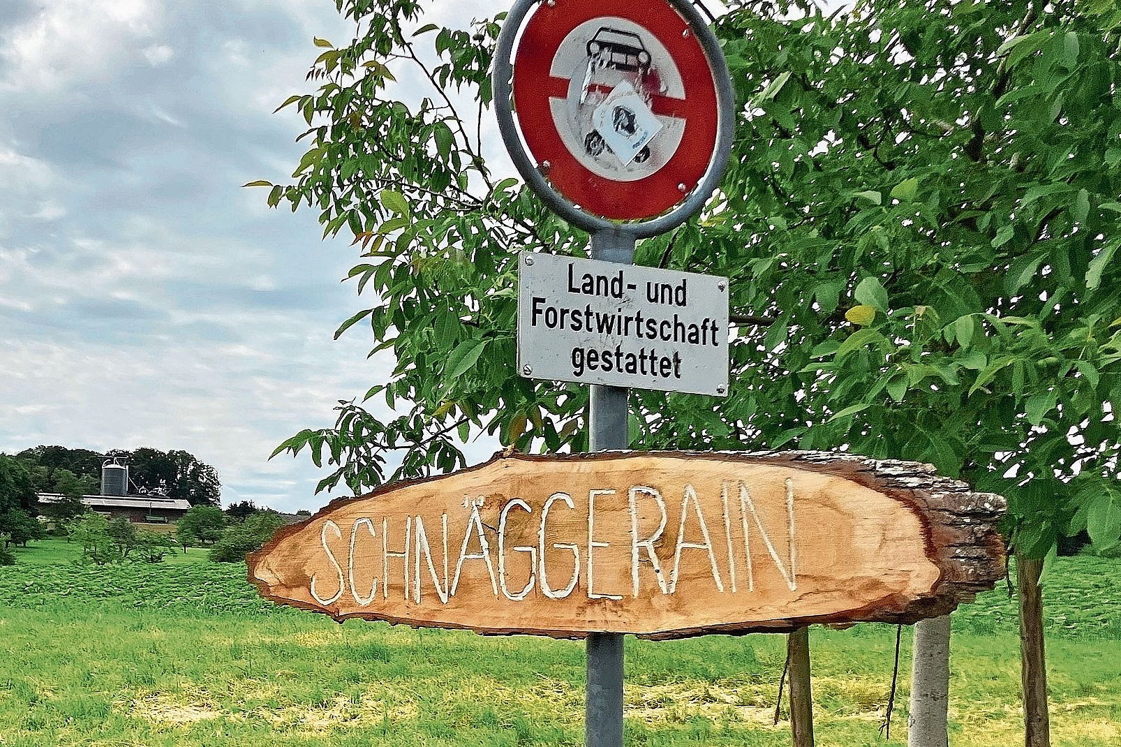 Ergebnis gemeindeübergreifender Zusammenarbeit: Die Holzschilder wurden von Schülerinnen und Schülern gefertigt. Fotos: Désirée Bellwald Ergebnis gemeindeübergreifender Zusammenarbeit: Die Holzschilder wurden von Schülerinnen und Schülern gefertigt. Fotos: Désirée Bellwald