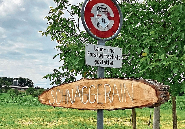 Ergebnis gemeindeübergreifender Zusammenarbeit: Die Holzschilder wurden von Schülerinnen und Schülern gefertigt. Fotos: Désirée Bellwald