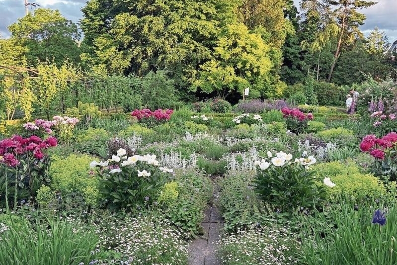 Blühendes Juwel: Dem Klostergarten sollten Besuchende einen längeren Besuch widmen. 
         
         
            Fotos: zvg