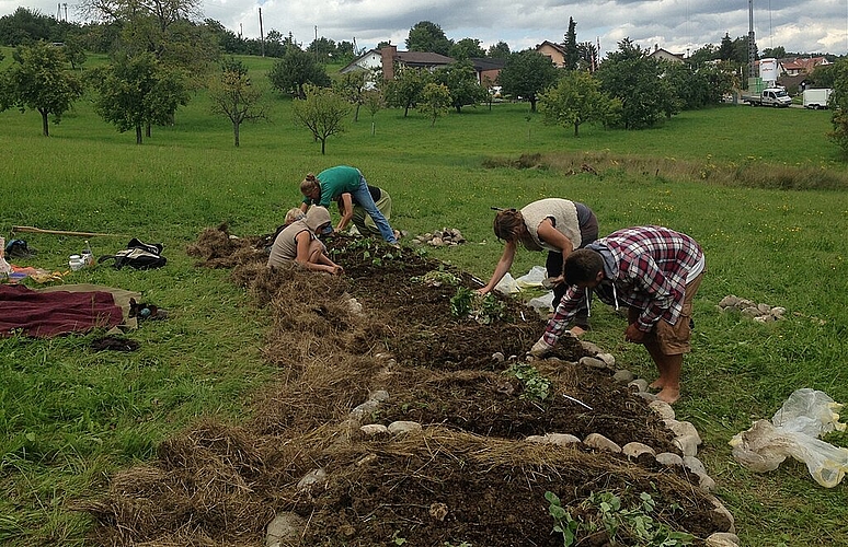Die Mitglieder der «Nuglar Gärten»: Sie legen den Beerengarten Pro Specie Rara an (August 2014). Foto: ZVG. Zoé Beutler 
