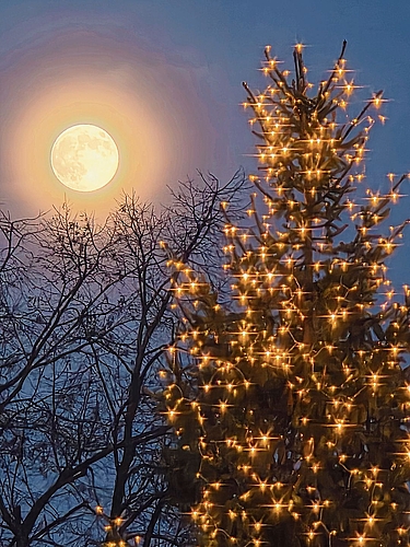 Platz 2: das Bild von Mirjam Berger. Platz 2: das Bild von Mirjam Berger.