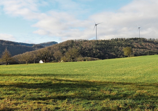 Vision: Fotomontage des geplanten Windparks, wie Primeo ihn 2018 entworfen hatte. Foto: zvg