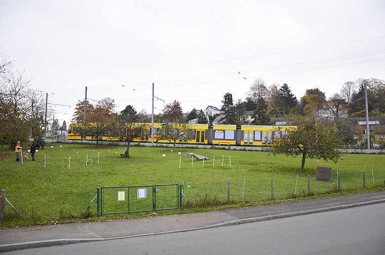 Verdichtung: Diese Wiese, wo heute Hunde trainiert werden, wird mit Wohn- und Gewerbeflächen überbaut. Foto: tok