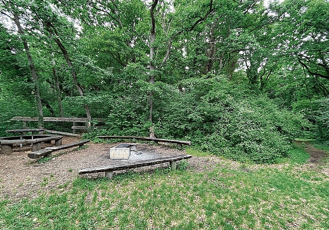 Grillstelle: Braucht es im Naturschutzgebiet Chöpfli in Hofstetten-Flüh zusätzliche Feuerstellen? Foto: Bea Asper