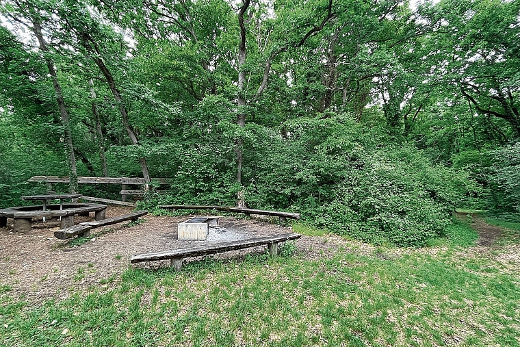 Grillstelle: Braucht es im Naturschutzgebiet Chöpfli in Hofstetten-Flüh zusätzliche Feuerstellen? Foto: Bea Asper