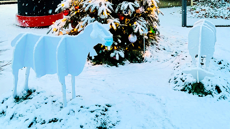 Fast schon kitschig: Der Quartierbaum vor der Gemeindeverwaltung, überzuckert vom ersten Schnee in diesem Winter. Foto: zVg /Simon Eglin