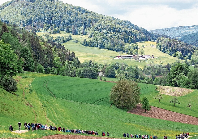 Der Banntagtross: Auf dem Weg in Guntisrütti, Richtung Ring und Huggerwald. Foto: Martin Staub