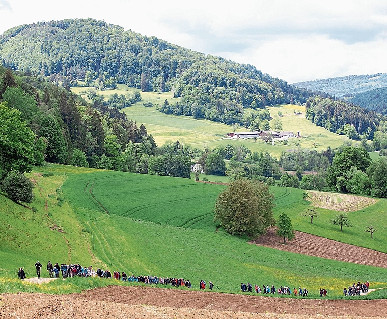 Der Banntagtross: Auf dem Weg in Guntisrütti, Richtung Ring und Huggerwald. Foto: Martin Staub