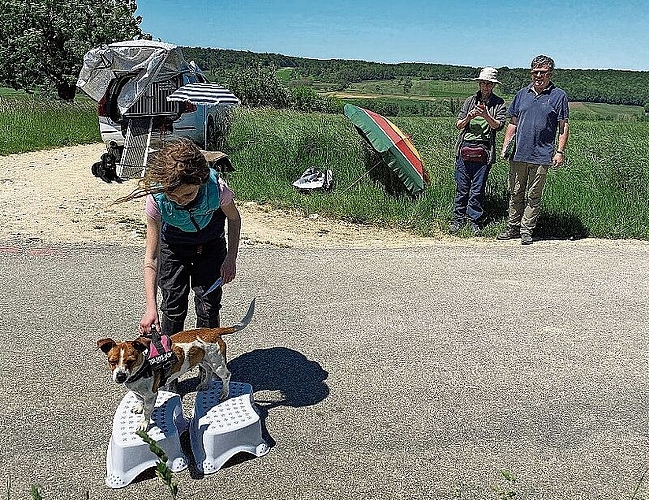 Aufs Podest: Der Hund soll auch der jungen Besitzerin gehorchen.
