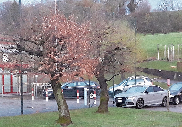 Ungenügendes Verkehrskonzept: Situation bei der Schulanlage March. Foto: zVg