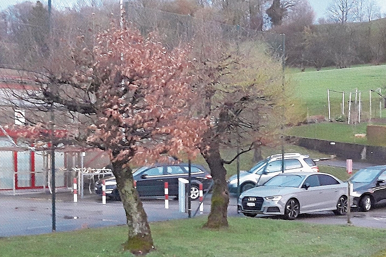 Ungenügendes Verkehrskonzept: Situation bei der Schulanlage March. Foto: zVg