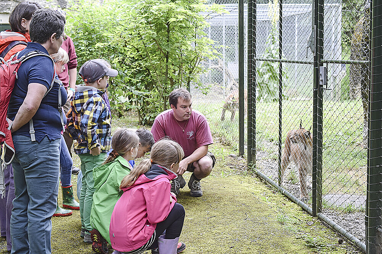 Mit dem Luchs auf Du und Du: Ueli Käser weiss viel über die Tiere zu erzählen. Fotos: Bea Asper