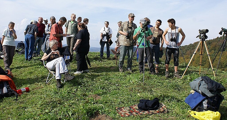 Auf dem Gupf bei Grindel: Willkommen auf der Durchreise in den Süden Foto: Jürg Jeanloz