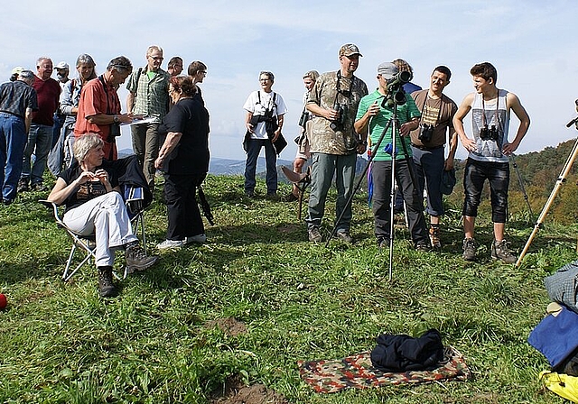 Auf dem Gupf bei Grindel: Willkommen auf der Durchreise in den Süden Foto: Jürg Jeanloz
