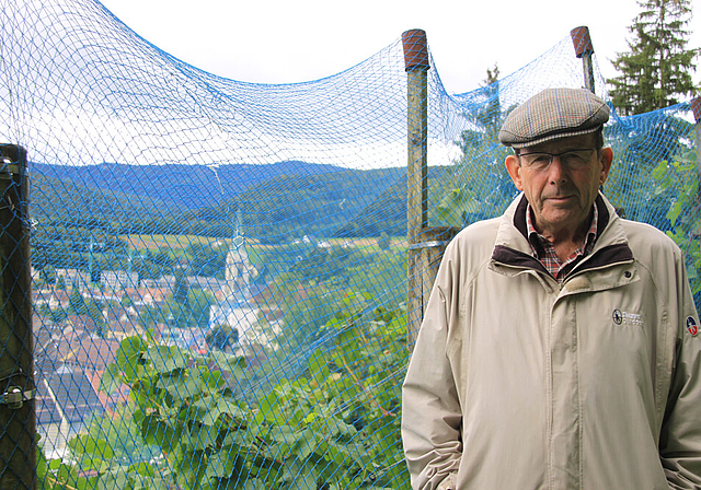 Profi: Rolf Bolliger in den Laufner Reben. Foto: Gini Minonzio