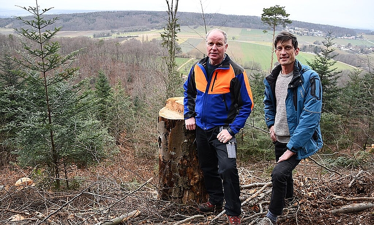 <em>Begutachten die Arbeiten im Wald: </em>Revierförster Christoph Sütterlin (links) und SP-Kantonsrat Stefan Oser. Foto: Bea Asper