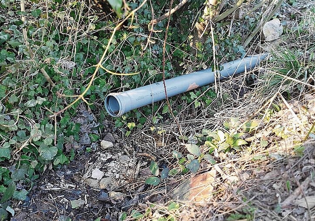 Kaum noch ein Tropfen: Aus dem Rohr, das für die Erhebung der Wassermengen eingesetzt wurde, flossen bis vor Kurzem noch mehrere Liter Wasser pro Minute in den Teich. Foto: Fabia Maieroni