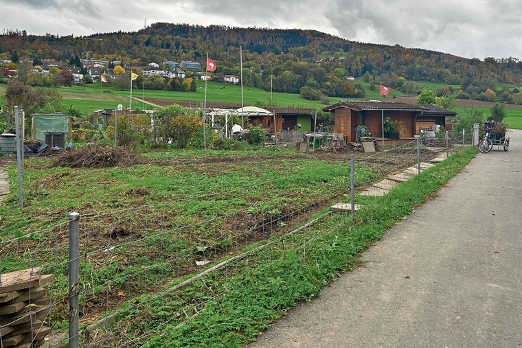 Wird umgestaltet: Ein neuer Pächter hat die Parzelle vor einer Woche übernommen. Foto: Nicolas Blust