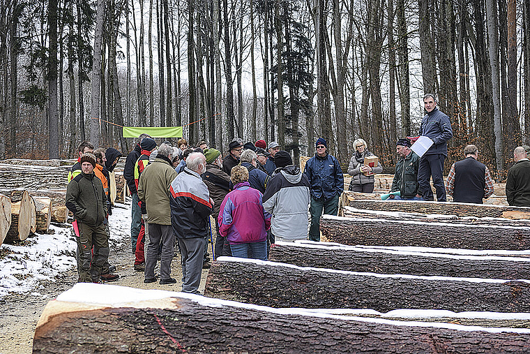 Gute Tradition: 20 Jahre nach der Erfindung des Wertholzverkaufs im Gempen bieten die Waldbewirtschafter von der Nordwestschweiz bis zum Berner Jura ihre besten Stämme internationalen Händlern zum Verkauf an. Foto: Bea Asper