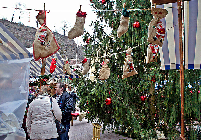 Eine Perle von Baum: Die grosse Weihnachtstanne. 