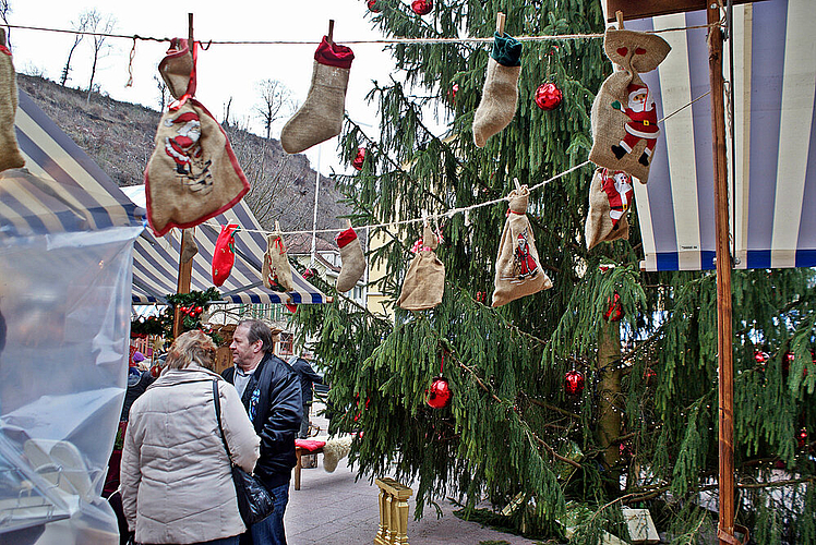 Eine Perle von Baum: Die grosse Weihnachtstanne. 
