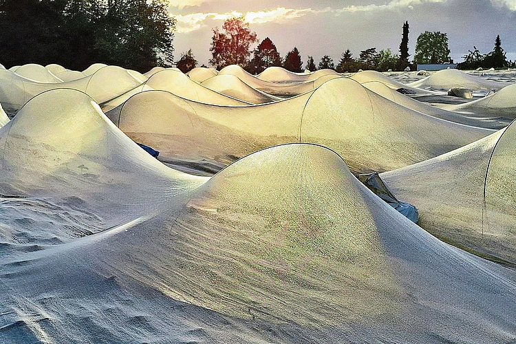 Ein Anblick, der fasziniert und zugleich verwirrt: «Mondlandschaft oder Schneeverwehungen auf dem Bruderholz?».Diese Frage stellt Martin Graf den Betrachtern seines Schnappschusses. Ein Anblick, der fasziniert und zugleich verwirrt: «Mondlandschaft oder Schneeverwehungen auf dem Bruderholz?».Diese Frage stellt Martin Graf den Betrachtern seines Schnappschusses.