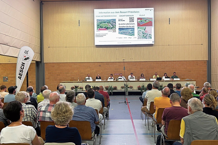 Hitzige Debatte: Die Entnahme aus dem Fonds Standortentwicklung wurde nicht von allen im Saal goutiert. Foto: Caspar Reimer