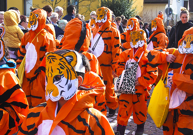 Kleine Tiger: Am Freitag waren Raubtiere in Miniatur in Münchenstein unterwegs.   Fotos: Boris Burkhardt

