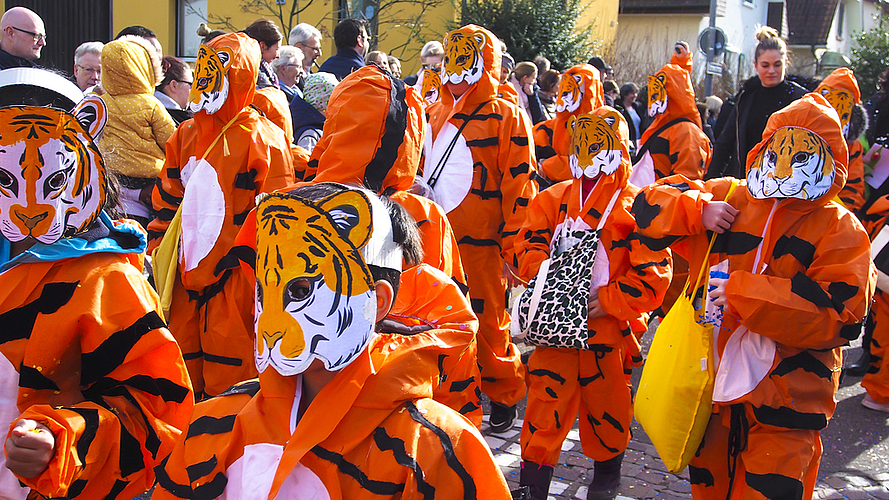 Kleine Tiger: Am Freitag waren Raubtiere in Miniatur in Münchenstein unterwegs.   Fotos: Boris Burkhardt
