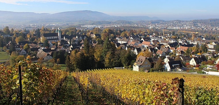 Attraktives Arlesheim: Damit das Dorf auch in Zukunft attraktiv bleibt, wird der Quartierplan für den Ortskern überarbeitet. . Foto: Axel Mannigel