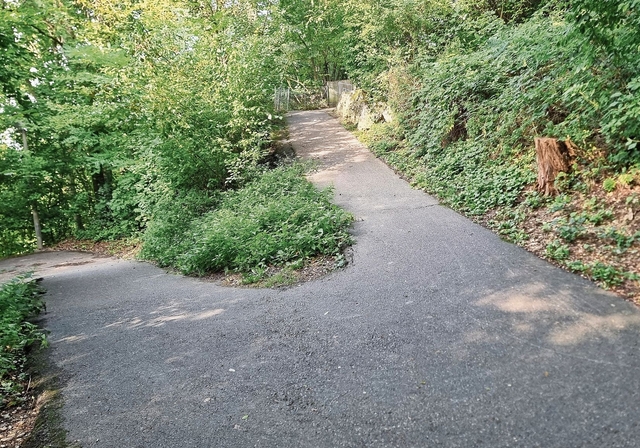 «Zickzackweg» oder auch «Serpentinenweg»: Das Weglein führt durch den Wald und weist einige holprige Stellen auf. Es soll nun beleuchtet und saniert werden. Foto: Fabia Maieroni